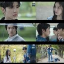 나의 사계 이미지