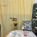 아름다울개 이미지