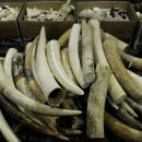 상아헬스 이미지