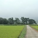 장풍숲입구 이미지