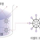 란화장품 이미지