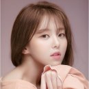 안다비 카카오 검색결과