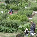 천상리농장 이미지