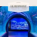 수정시흥-D-6 | [경기도] 시흥 거북섬 아이와 가볼만한 곳 해양생태과학관 솔직후기