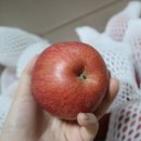 청송농산 - 포항시 남구 중앙로134번길 30-8 | 청송농산