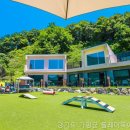 플레이독 네이버블로그