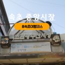 사랑한개너양 | 속초 여행 코스 추천 중앙시장 맛집 먹거리 배부른 투어 닭강정 술빵 오징어순대