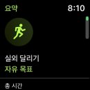 고릴라 비치 이미지
