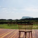 오조리bnb 이미지