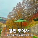 수지애견 | [용인카페] 수지구 고기리 단풍 이쁜 카페 로이사 애견동반 내돈내산 후기