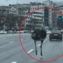 중원-119 이미지