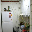 at센터 맞은편 이미지