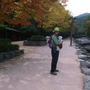 남식농장 이미지