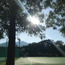 금정체육공원_축구장 네이버블로그