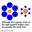 신기한 착시현상 모음 이미지