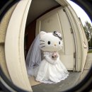 인더비헤어