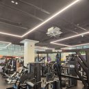 듀플릿 휘트니스 이미지