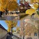 효자로-L 이미지