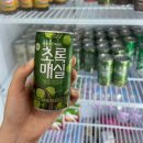 행운농장 | 김해꽃집 | 다복이 꽃 백화점(키움다육농장) 장유 최대 규모 식물쇼핑 후기