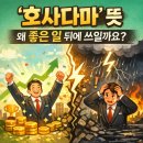 호사다마 | 호사다마 뜻 유래부터 새옹지마와의 차이까지 헷갈리는 고사성어 한 번에 정리
