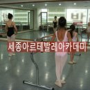 세종아르테발레아카데미학원