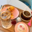 벚꽃주유소 | 🌼 울진 드라이브 코스 필수 카페 │ 카페제니엘 매화점 바다뷰 힐링후기