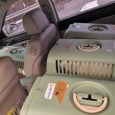 한산켄넬 이미지