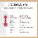 36.5체온다이어트 네이버블로그