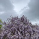 대천동주민센터 이미지