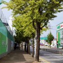 호원플러스약국 이미지