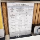 [부산 남구] 고양이 이물 섭취 조영 및 입원 후기 “24시 UN 동물의료센터”🐱 // (공휴일 진료비, 주차...