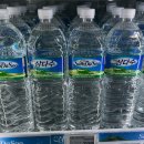 팰롱팰롱 이미지