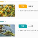 소담고등학교 | (일반고) 소담고등학교 2025 신입생 입학안내, 학교안내