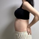건희중기 | [임신 기록-➁] 임신 중기 13주차-27주차 안정기 남편의 태몽, 둘째 성별공개! 정신과 상담?