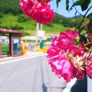 하울펜션 이미지