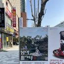 봄의 피크닉 레플리카展 네이버블로그