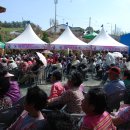 금산 홍도마을 홍도화축제 4월16일(금)-18일(일) 많이 보러오세요 이미지