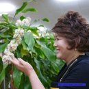 진국명국 이미지