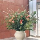 미니스톱부산거제현대점 | 거제 삼성호텔 신관 디럭스룸 내돈내산 숙박 후기 (feat.거제 훈스시)