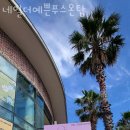 네일더예쁜푸스온탑 이미지