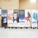 마르티누 체코 필하모닉 오케스트라 이미지