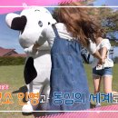 일모목장 네이버블로그