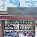 강원도 영월 맛집 떡매 매운탕 :: 영월 해장하기 좋은곳, 다슬기 해장국 찐맛집