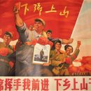 상산농장 이미지