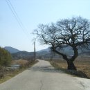 명계3리 이미지