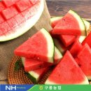 구룡농업협동조합 이미지
