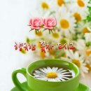 꽃차