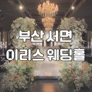 이리스웨딩뷔페 | 부산 서면 이리스 웨딩홀 뷔페 및 연회장 후기