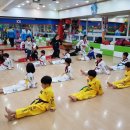 지성체육관(태권도) 이미지