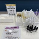 힐링 펫 카페 이미지